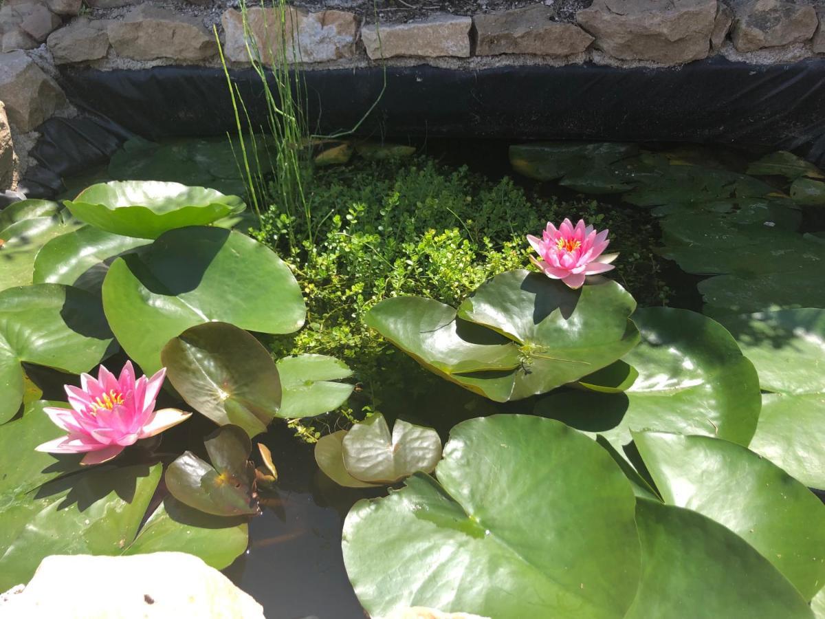 San Noto Antica Residenza Di Caccia Bed & Breakfast Ficarra Ngoại thất bức ảnh